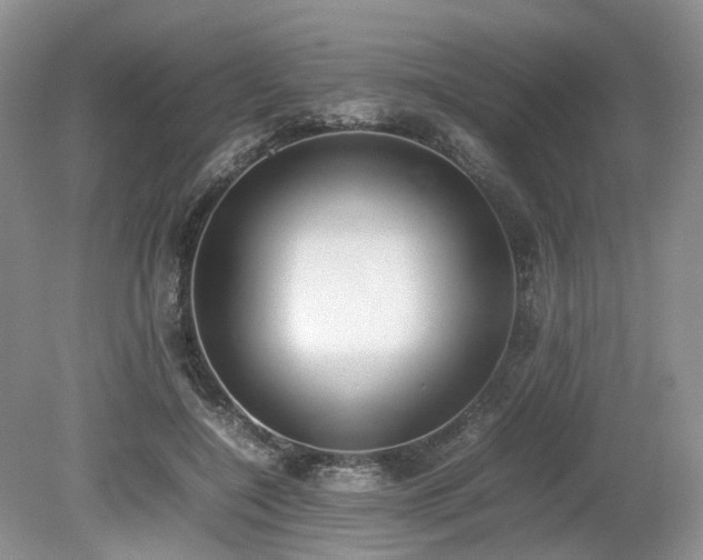X0000080140548200612081258