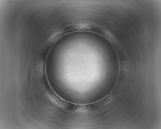 X0000080140550200612081258