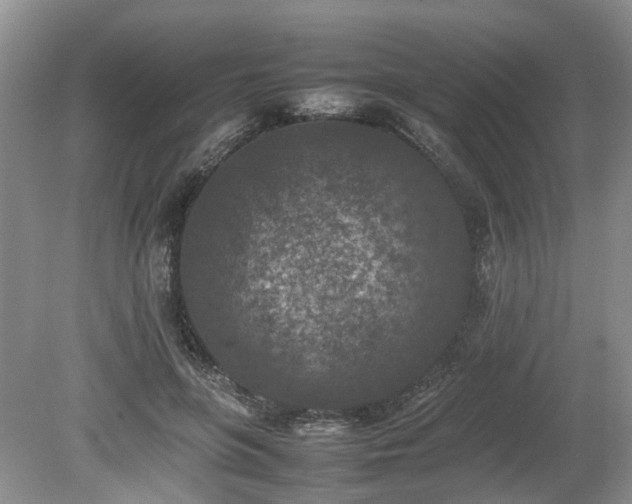 X0000080140551200612081258