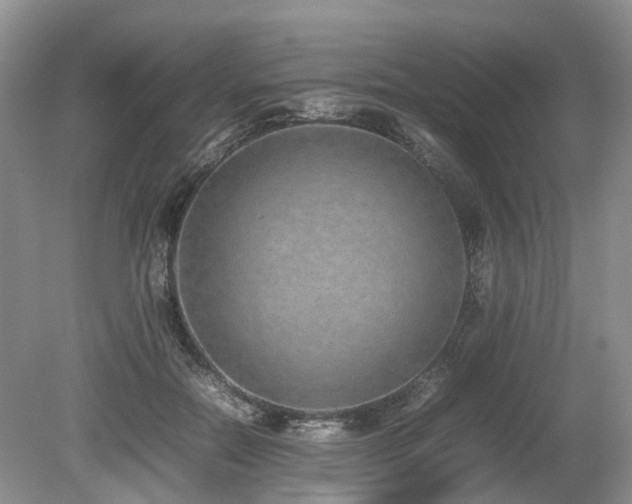 X0000080140554200612081258