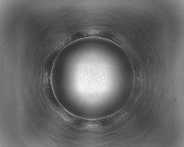 X0000080140555200612081259