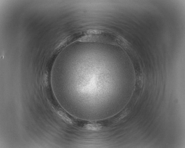 X0000080140556200612081259