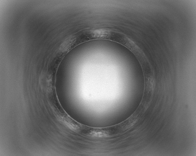 X0000080140557200612081259