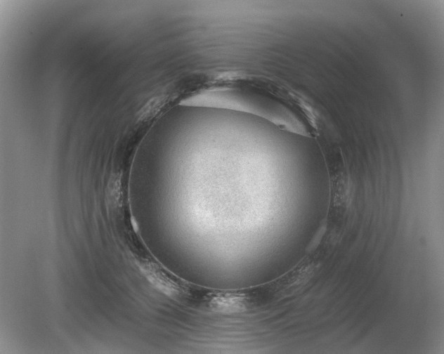 X0000080140560200612081259