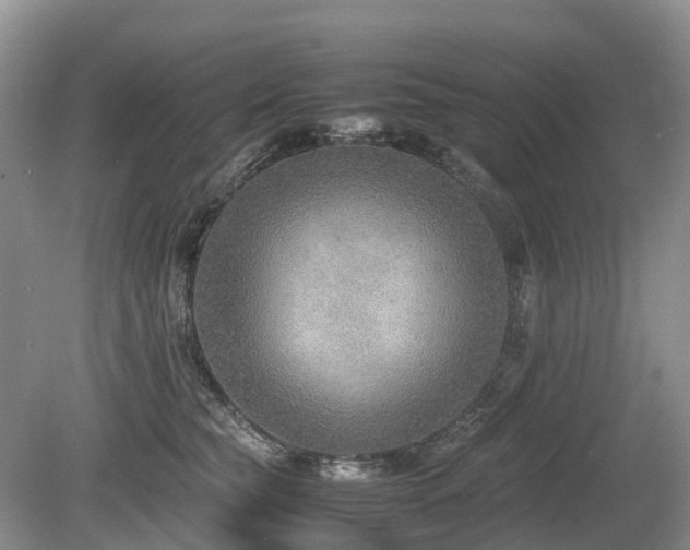 X0000080140565200612081259