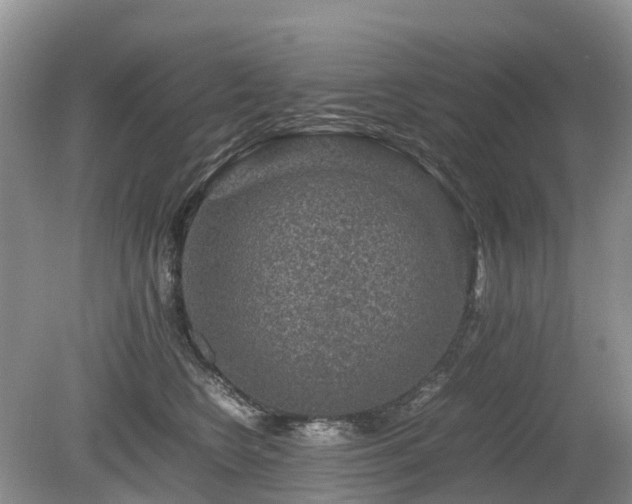 X0000080140566200612081259