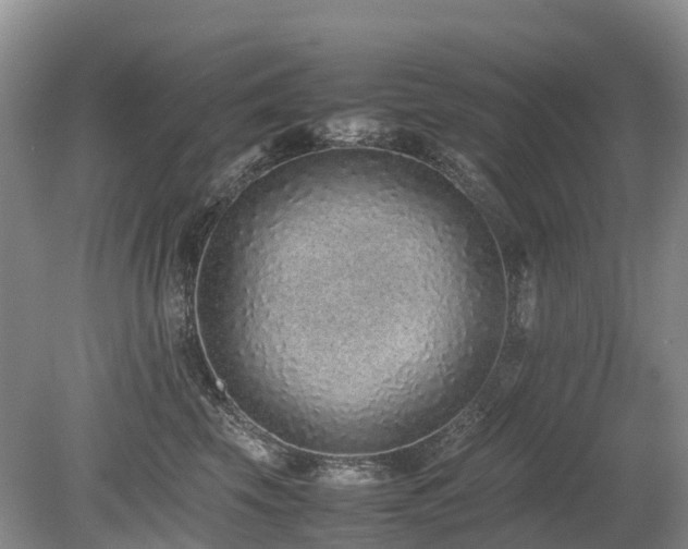 X0000080140569200612081259