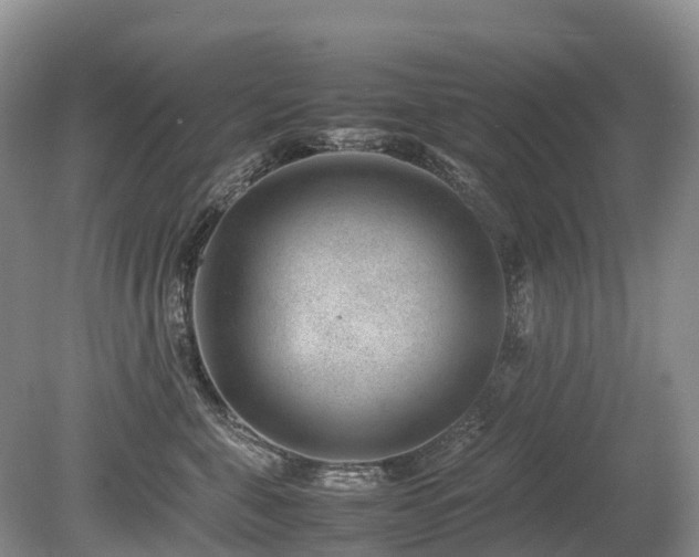 X0000080140571200612081259