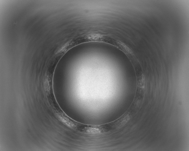 X0000080140572200612081259