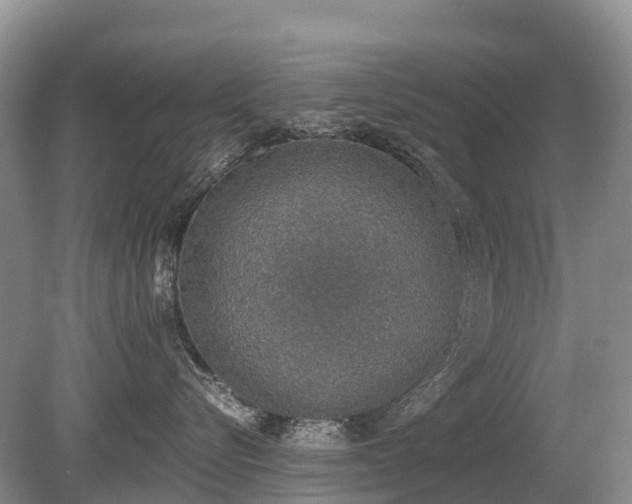 X0000080140576200612081259