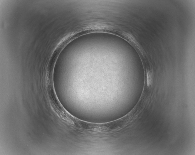X0000080140579200612081258