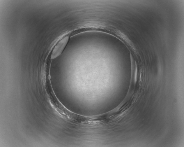 X0000080140580200612081258