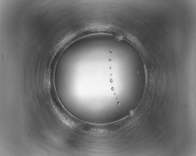X0000080140582200612081258