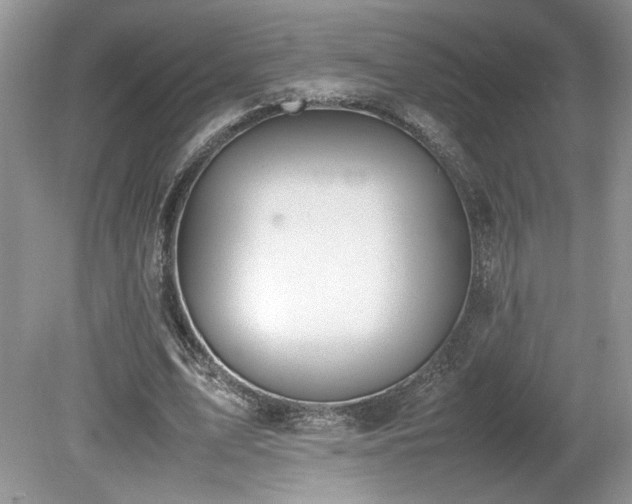 X0000080140583200612081258