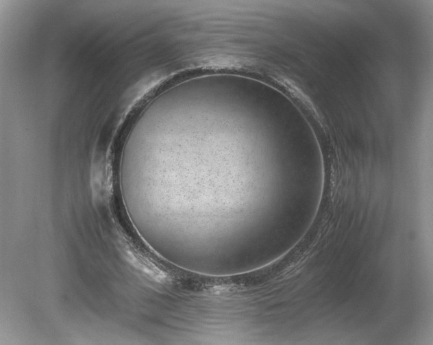 X0000080140584200612081258