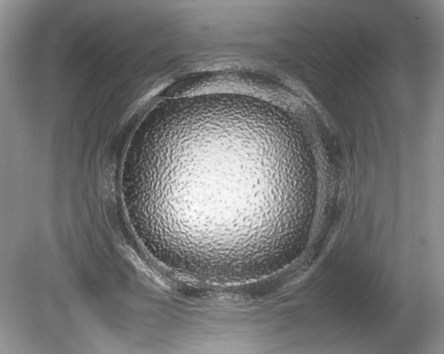 X0000080140585200612081258