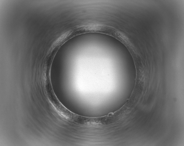 X0000080140586200612081258
