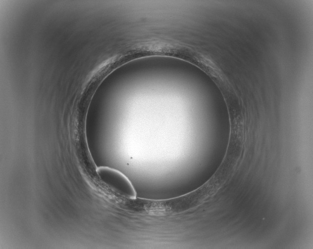 X0000080140587200612081258