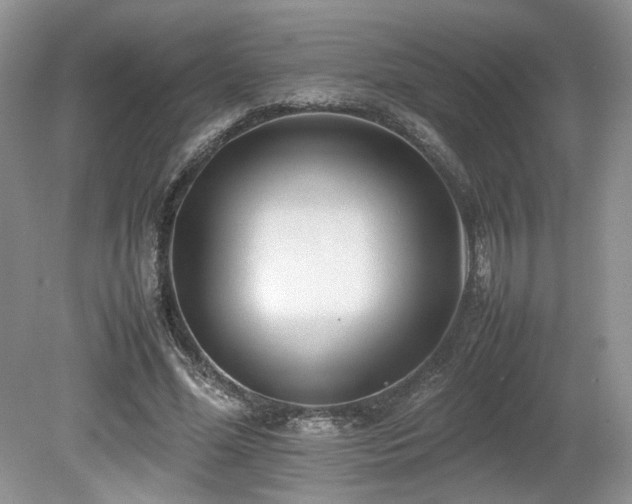 X0000080140588200612081258