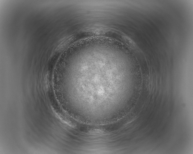 X0000080140594200612081258