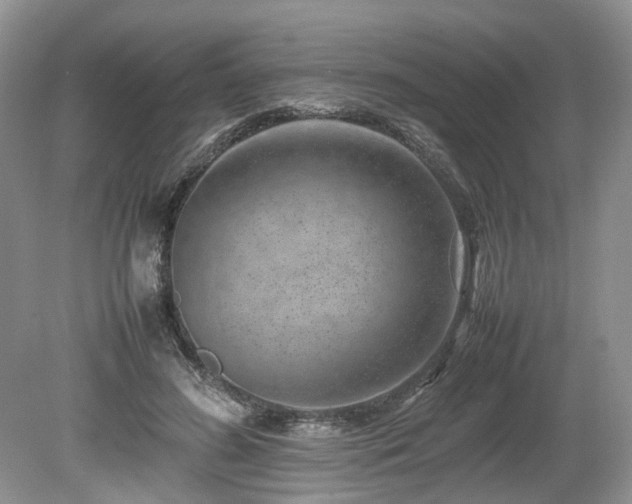 X0000080140596200612081258