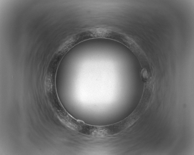 X0000080140599200612081258