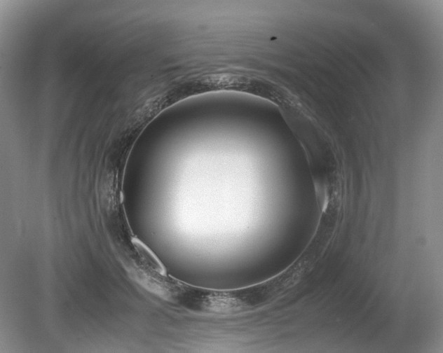 X0000080140605200612081258