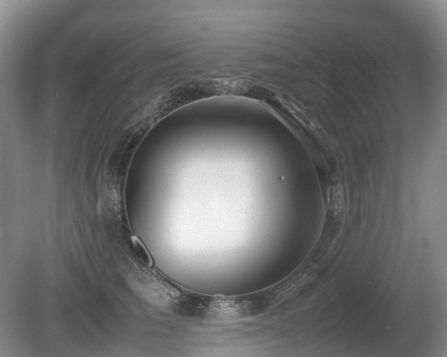 X0000080140613200612081257