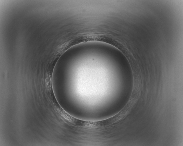 X0000080140624200612081257