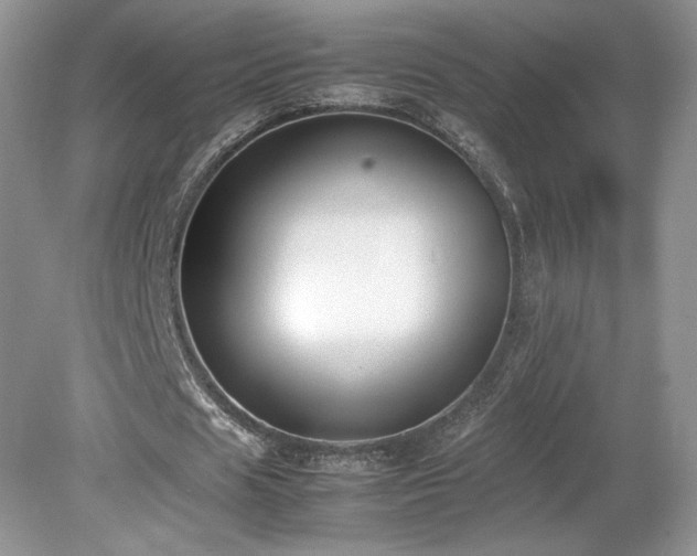 X0000080140625200612081256