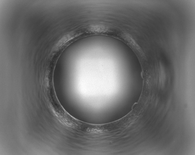 X0000080140635200612081257