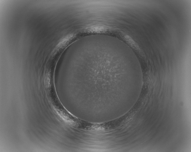 X0000080140640200612081257