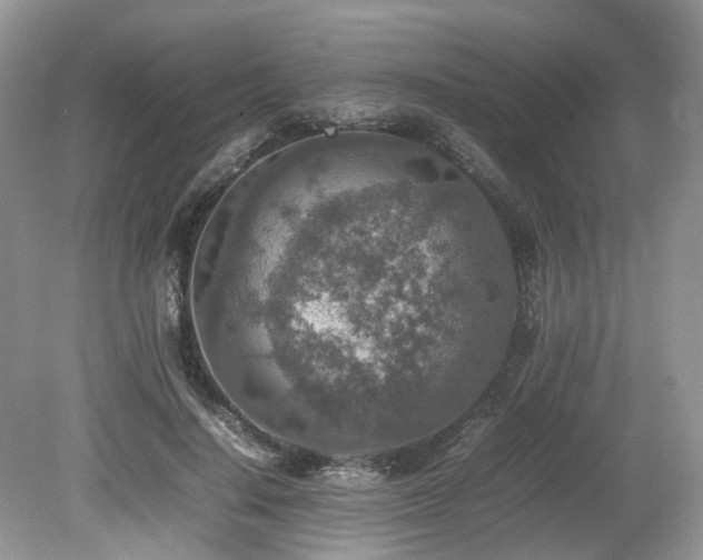 X0000080140644200612081257