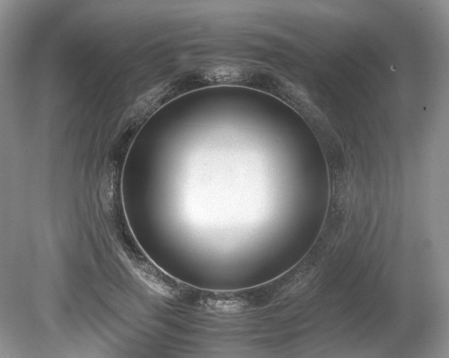 X0000080140645200612081257