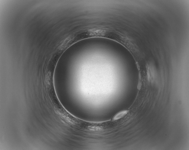 X0000080140649200612081257