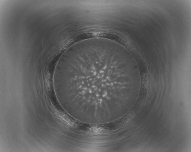 X0000080140650200612081257