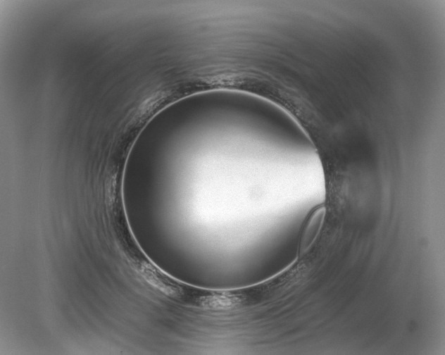 X0000080140652200612081257