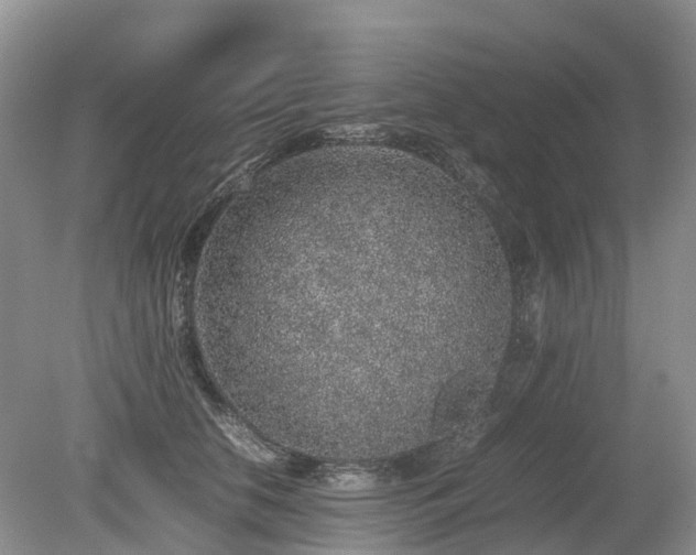 X0000080140658200612081257