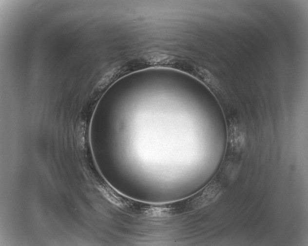 X0000080140664200612081257