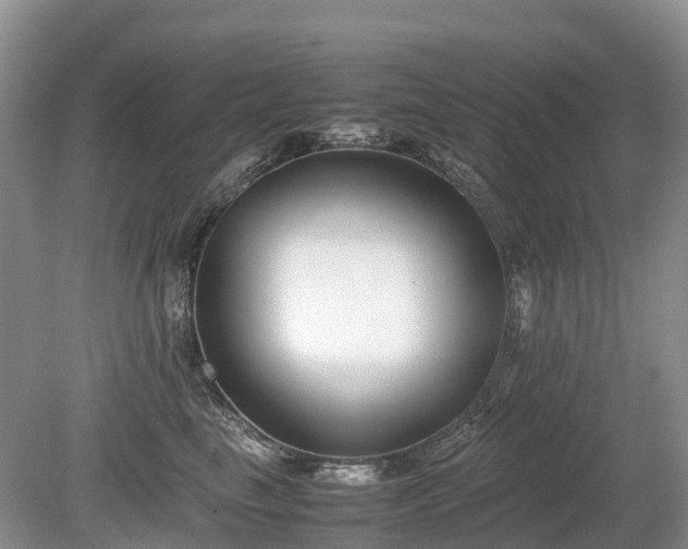 X0000080140665200612081257