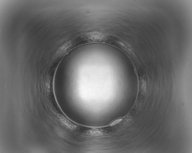 X0000080140668200612081257