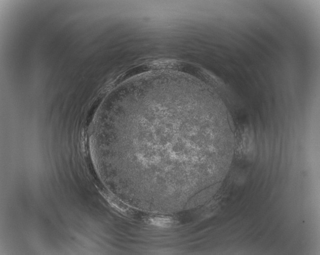 X0000080140669200612081257