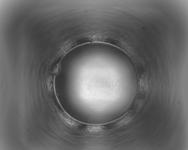 X0000080140671200612081257