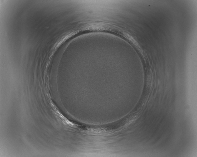 X0000080140673200612081256