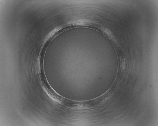 X0000080140678200612081256