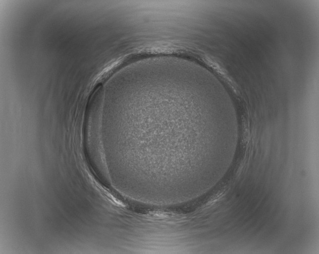 X0000080140681200612081256