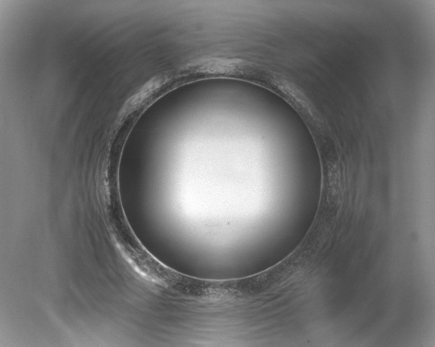 X0000080140682200612081256