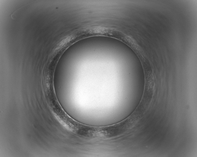 X0000080140683200612081256
