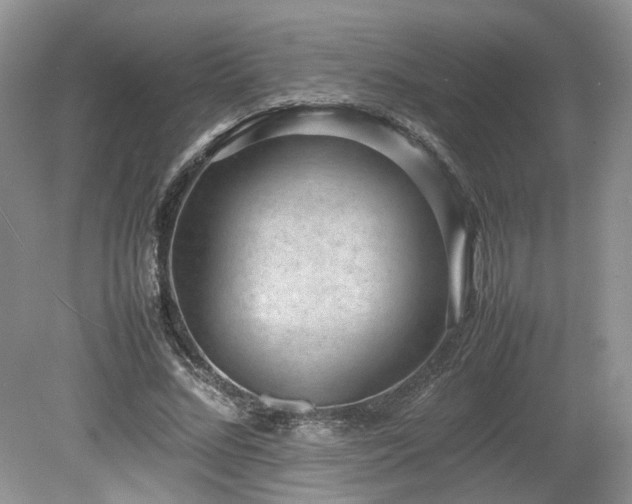 X0000080140684200612081256