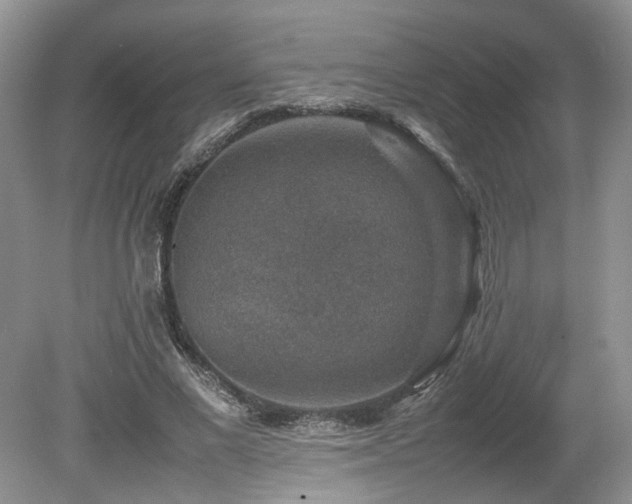 X0000080140685200612081256
